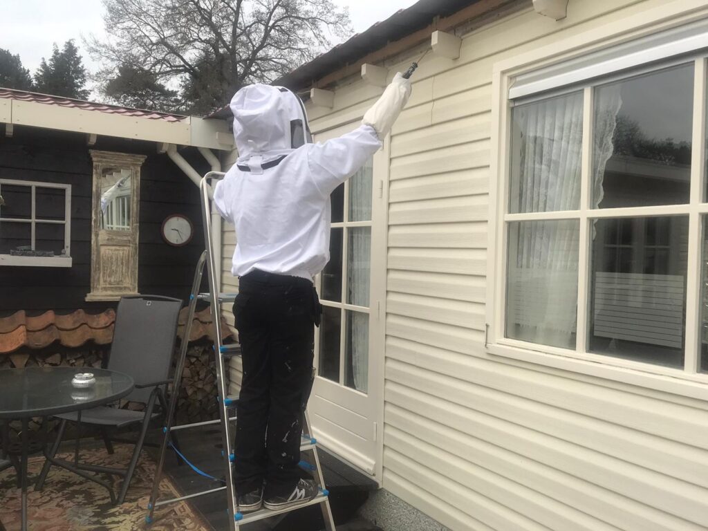 Bestrijding wespennest